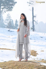 Beautiful Gray Georgette Plus Net Pant suit with Duppata