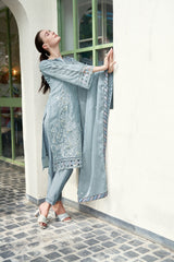 Alluring Organza Pant suit with dupatta
