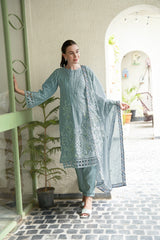 Alluring Organza Pant suit with dupatta